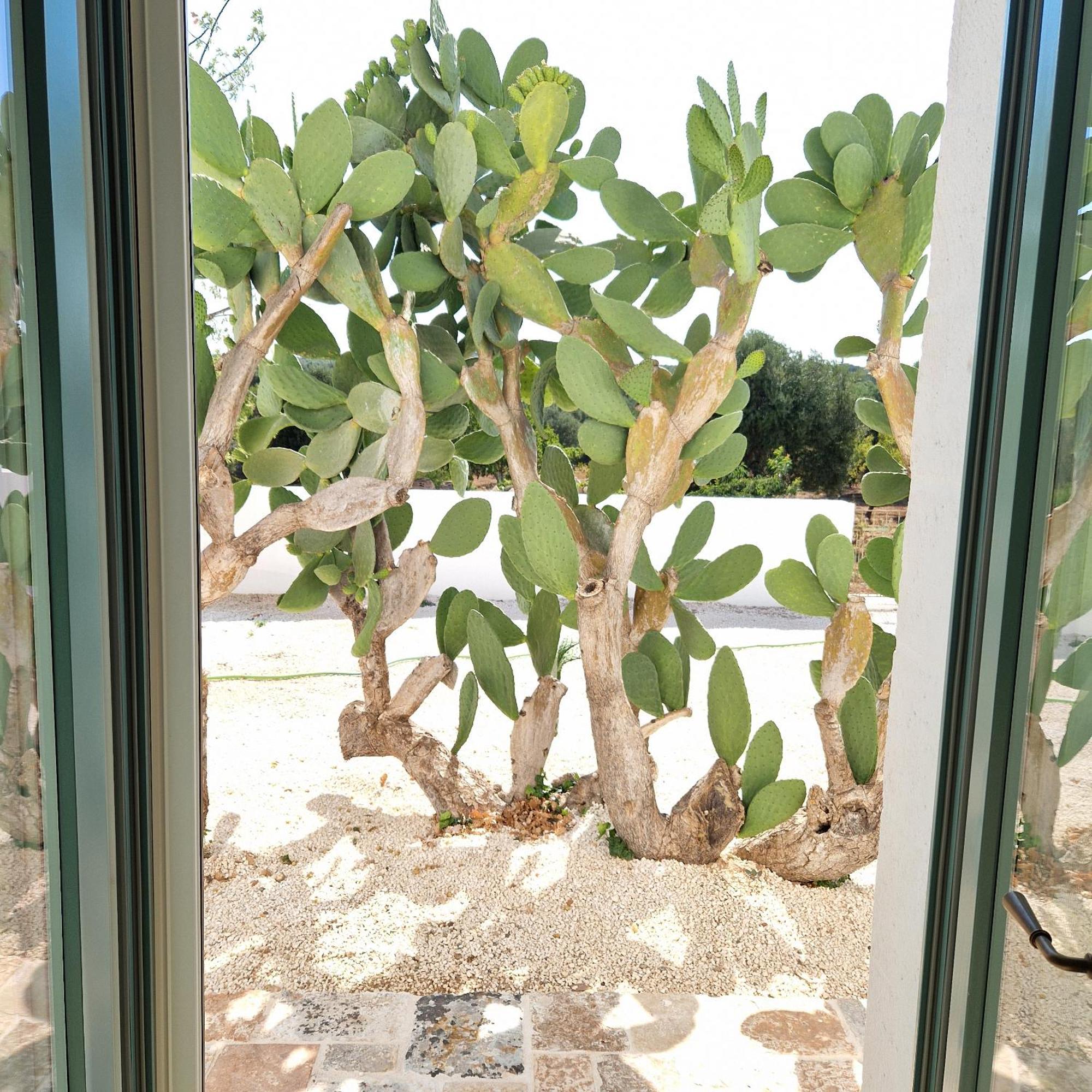 Masseria Paradiso Ostuni Exteriér fotografie